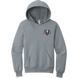 Scary Badgers Youth Sponge Fleece Pullover Hoodie
