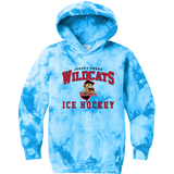 Jersey Shore Wildcats Youth Crystal Tie-Dye Pullover Hoodie